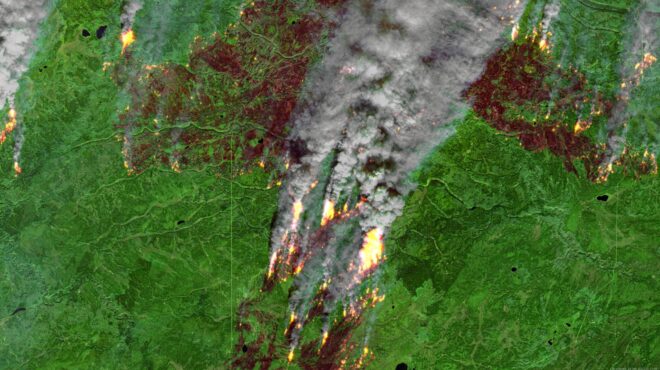 τροπικά-δάση-μια-ολόκληρη-ελβετία-χ-562647955