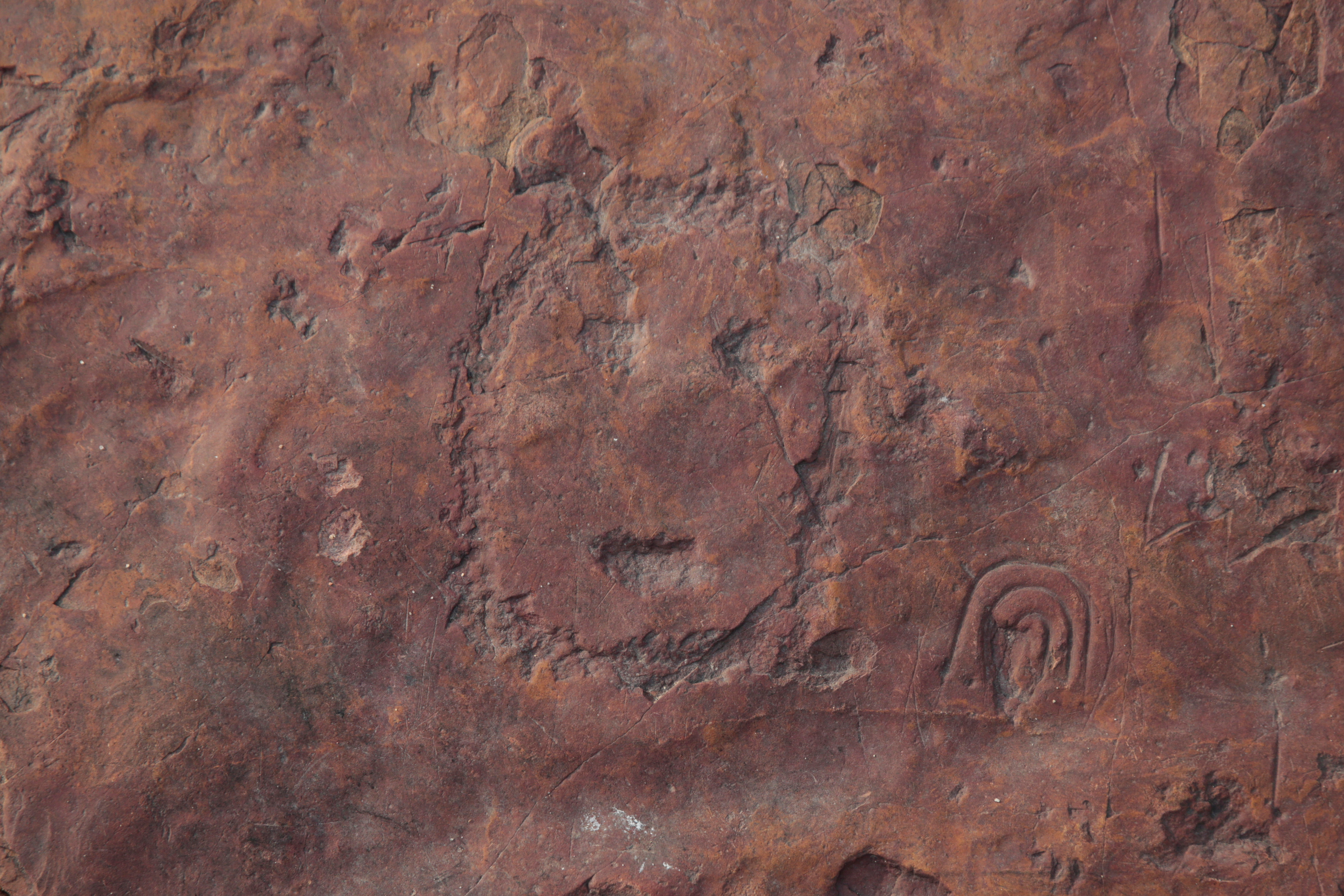 Η ξηρασία στον Αμαζόνιο αποκάλυψε εντυπωσιακές βραχογραφίες ηλικίας τουλάχιστον μιας χιλιετίας-2