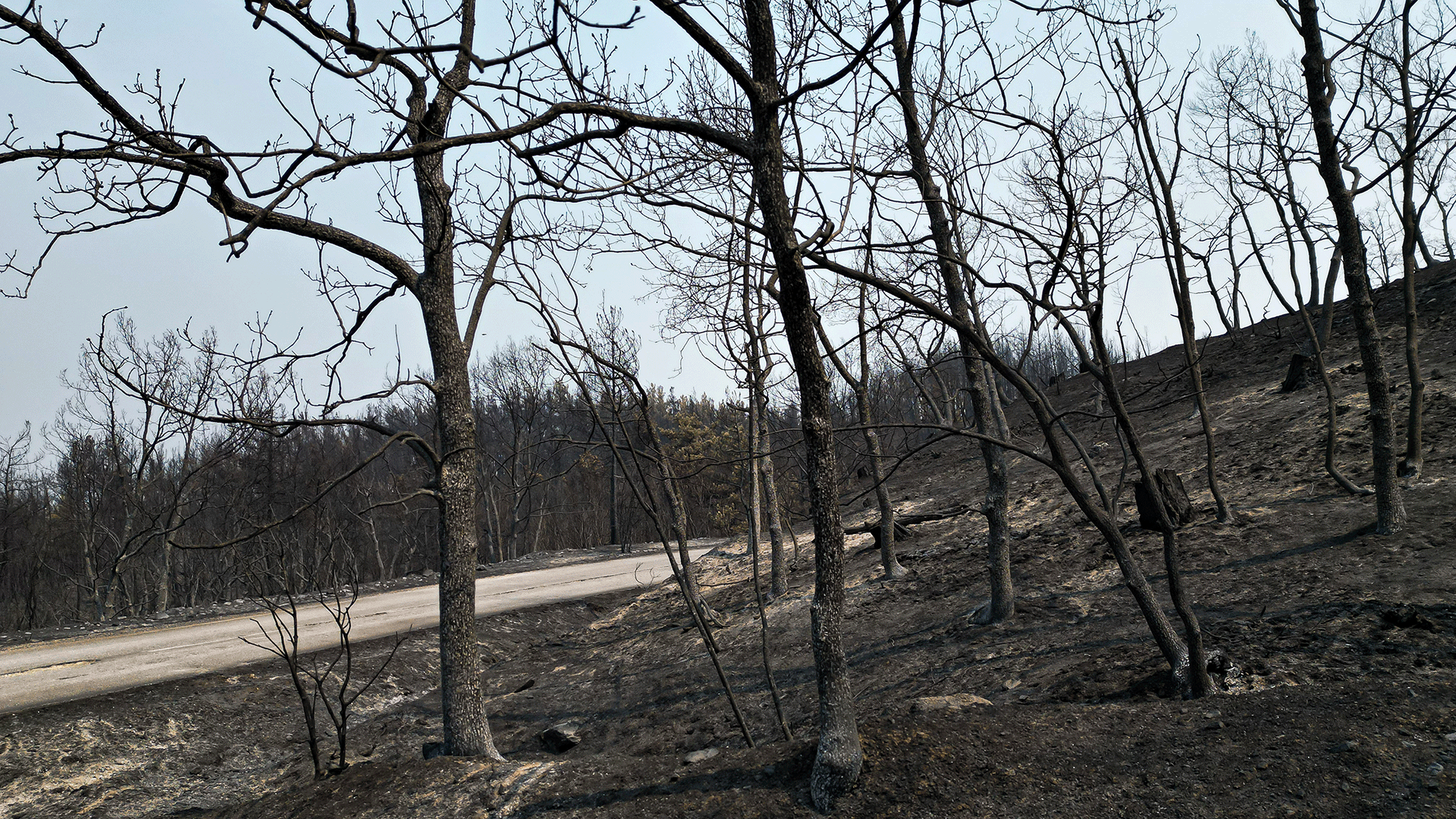 πάγος-στα-αιολικά-στον-εβρο-μέσω-της-562648729