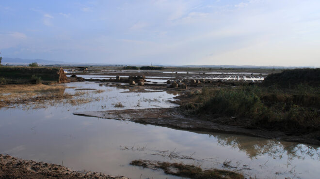 υπουργείο-αγρ-ανάπτυξης-οι-περισσότε-562657156