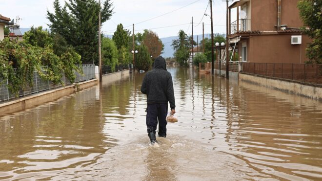 θεσσαλία-εννιά-κρούσματα-λεπτοσπείρ-562670329