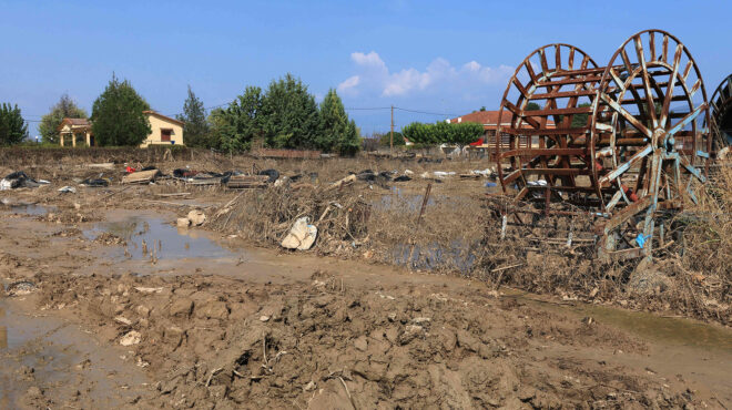 θεσσαλία-οκτώ-νέα-κρούσματα-λεπτοσπε-562684180