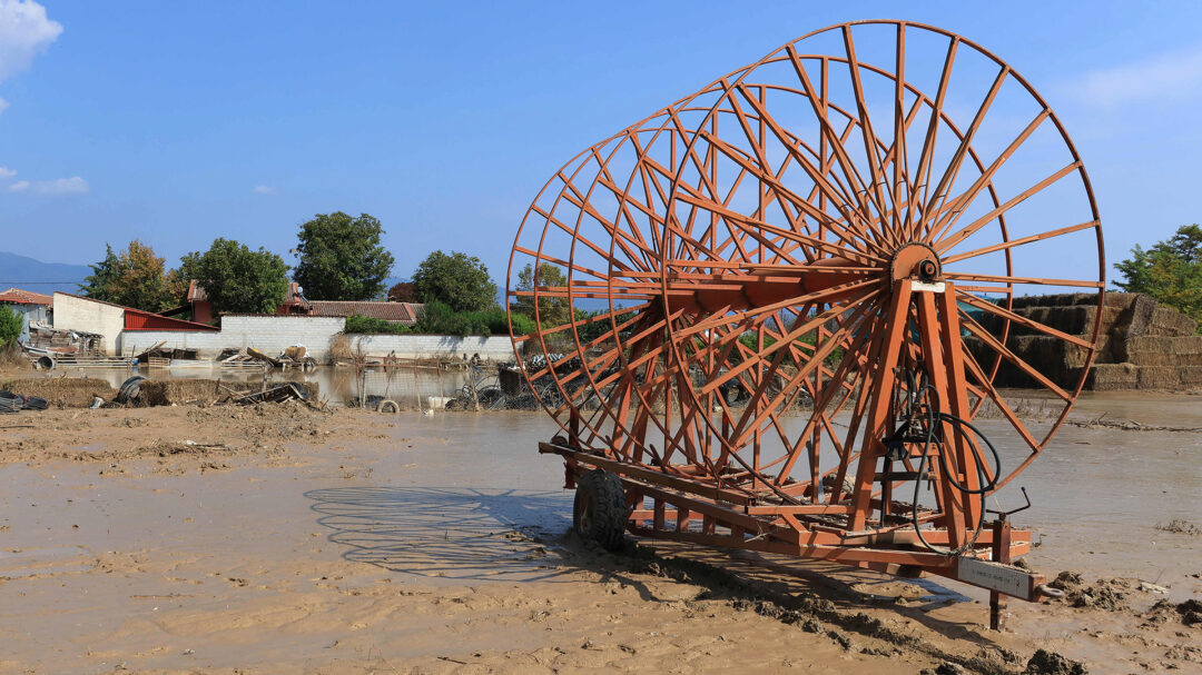 φέτος-δεν-έκανα-ούτε-ένα-μεροκάματο-562701616