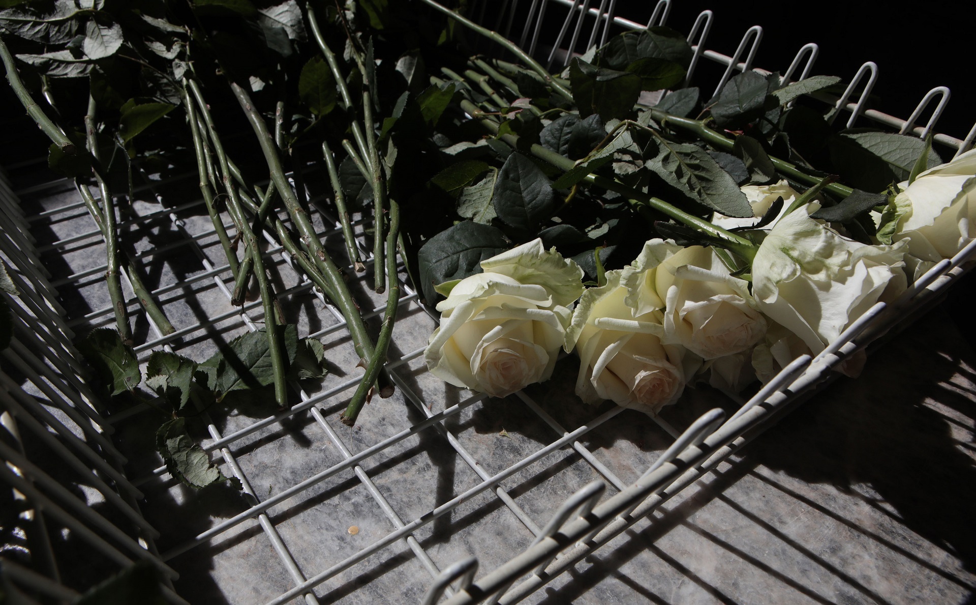 Μαίρη Χρονοπούλου: «Τελευταίο αντίο» σε μια μεγάλη ηθοποιό-10