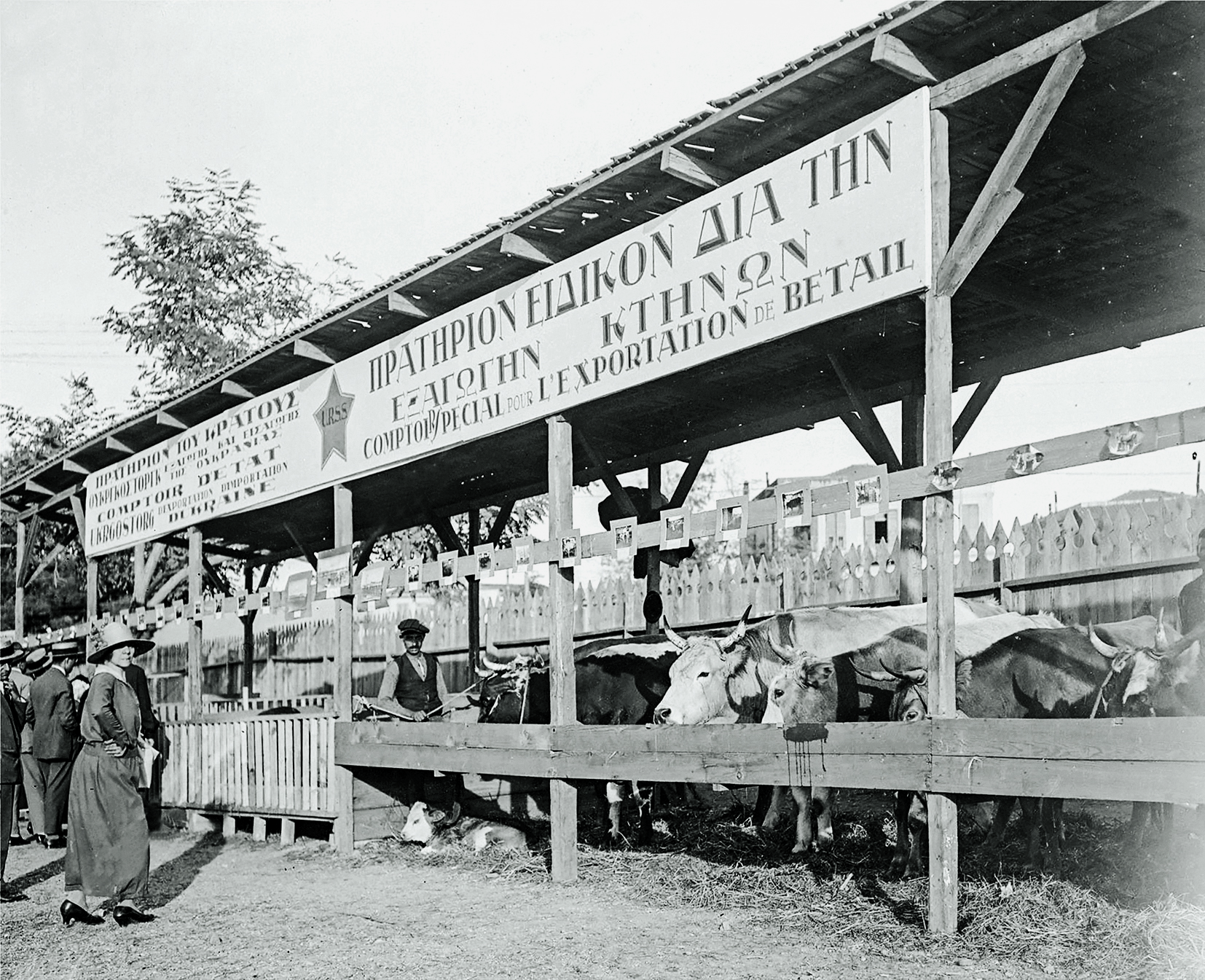 Εμπορική Εκθεσις Θεσσαλονίκης 1927 – Τα πρώτα βήματα ενός θεσμού-17