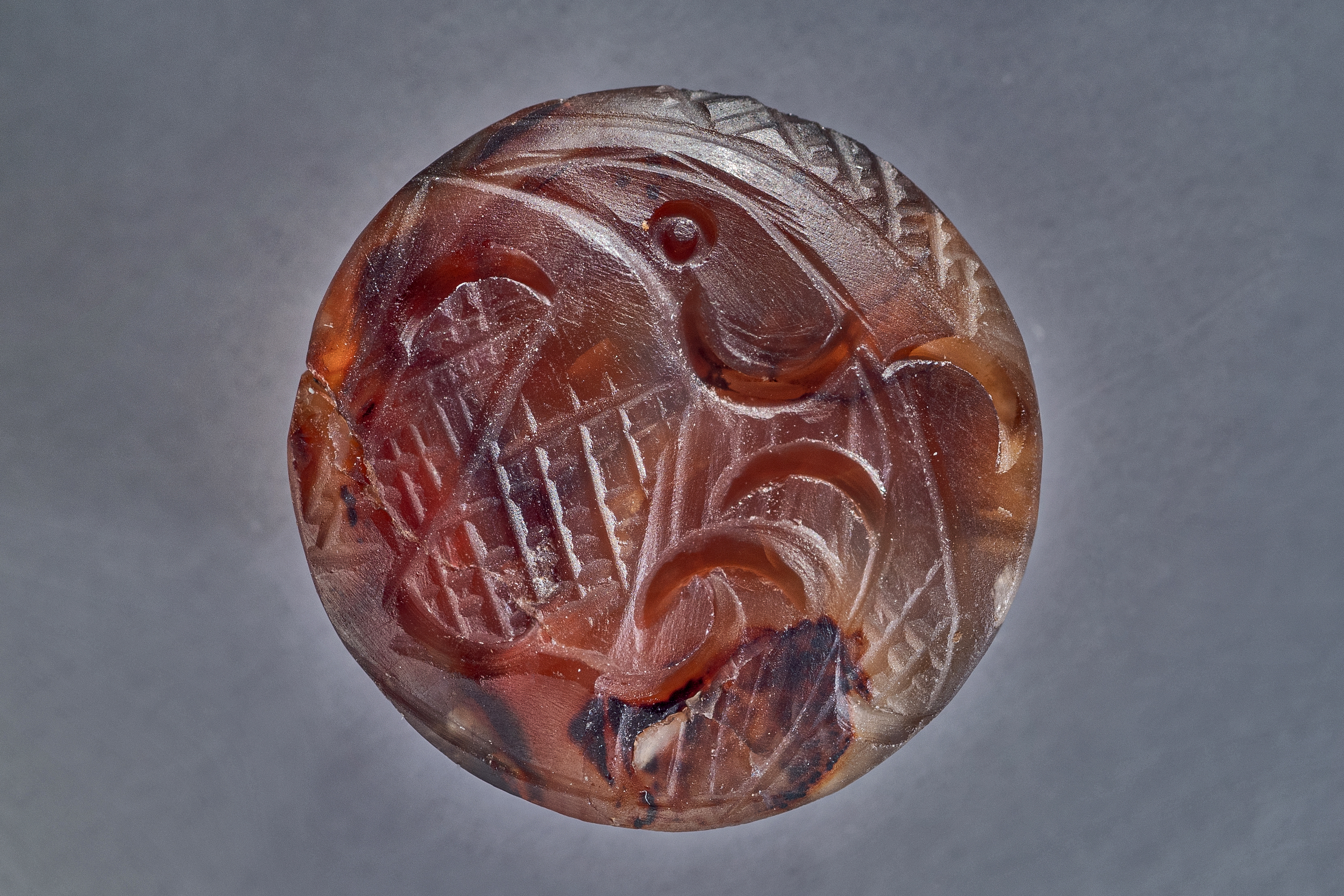 Αρχάνες: Εικόνες από το λαμπρό μινωικό ανάκτορο που ήρθε στο φως-4