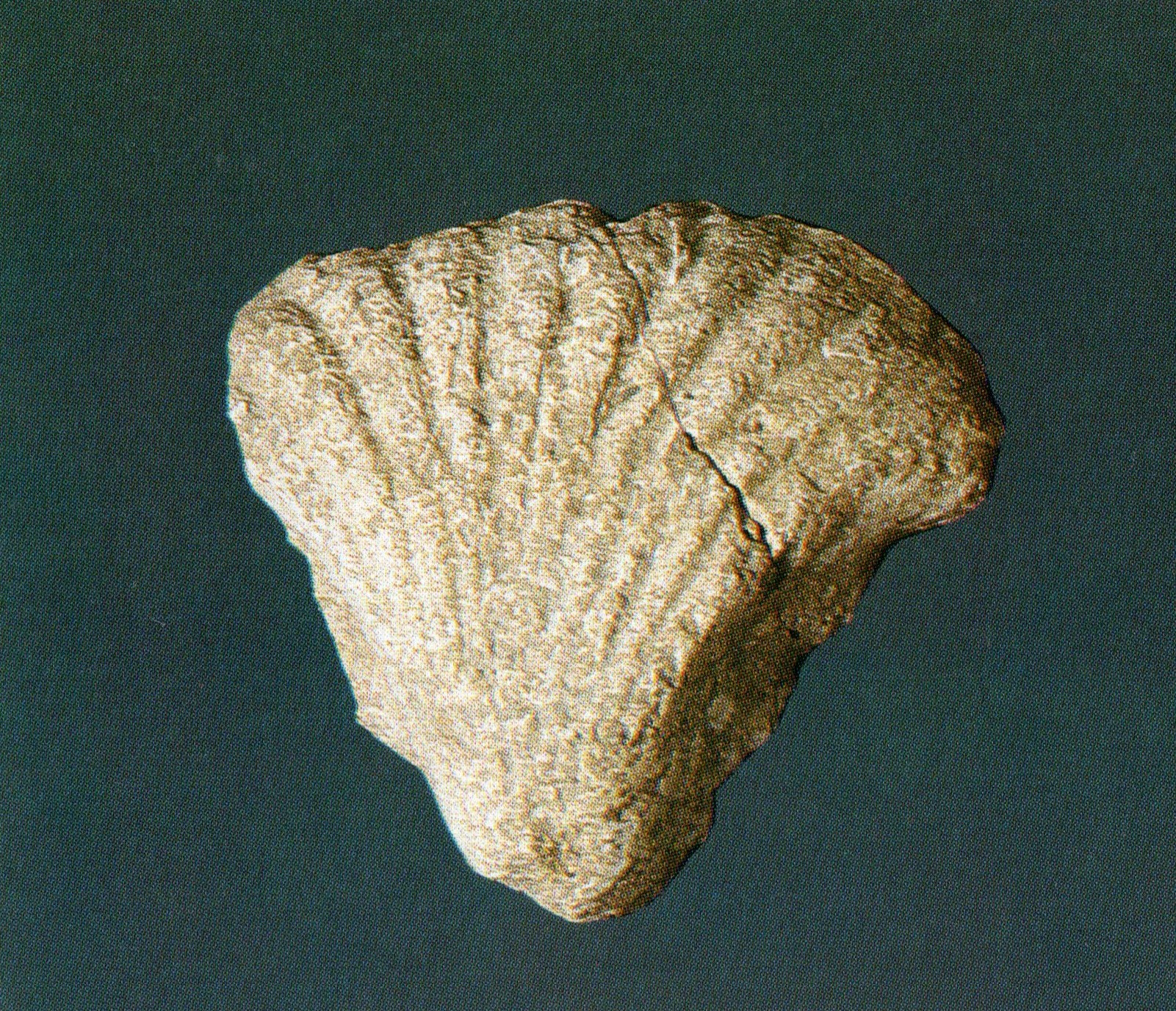 Αρχάνες: Εικόνες από το λαμπρό μινωικό ανάκτορο που ήρθε στο φως-10