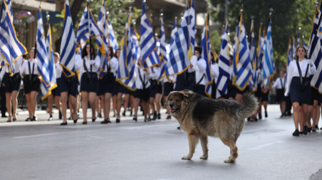 θεσσαλονίκη-ολοκληρώθηκε-η-μαθητική-562697371
