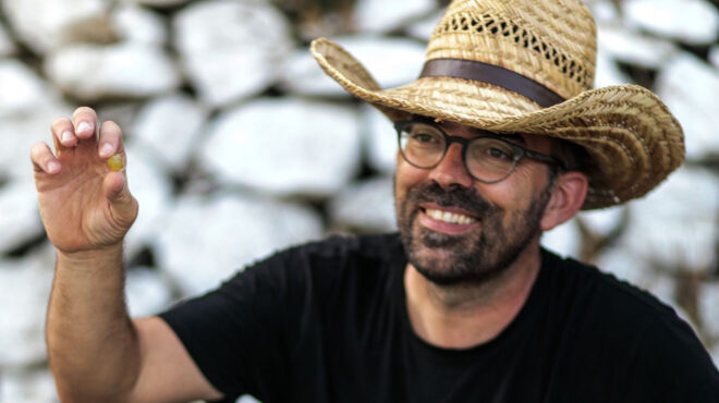 εκλεκτό-κρασί-για-λίγους-από-παλιά-αμπ-562691578