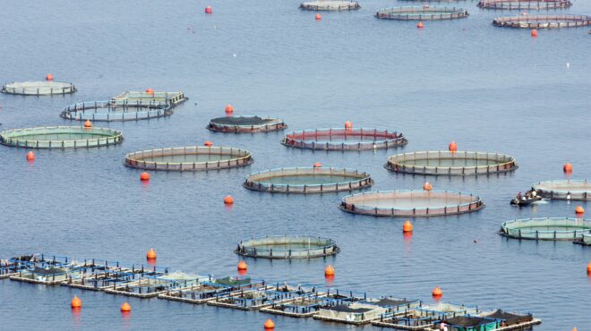 αντίστροφη-μέτρηση-για-την-avramar-562674616