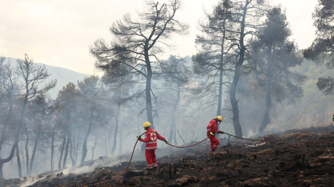 προειδοποίηση-για-το-κόστος-των-δασικ-562656274