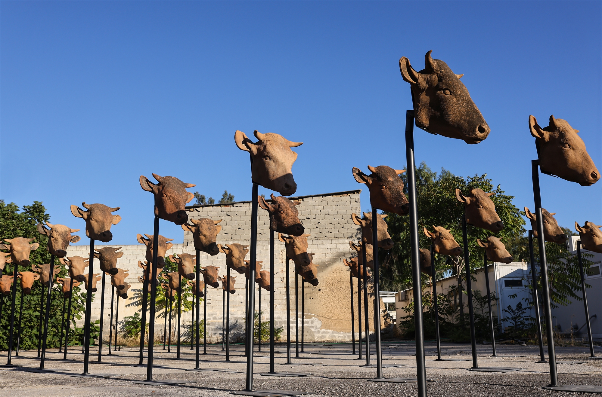 Σύγχρονη τέχνη στον Ελαιώνα: Μάλερ, και ταύροι σε σπασμένη άσφαλτο-3