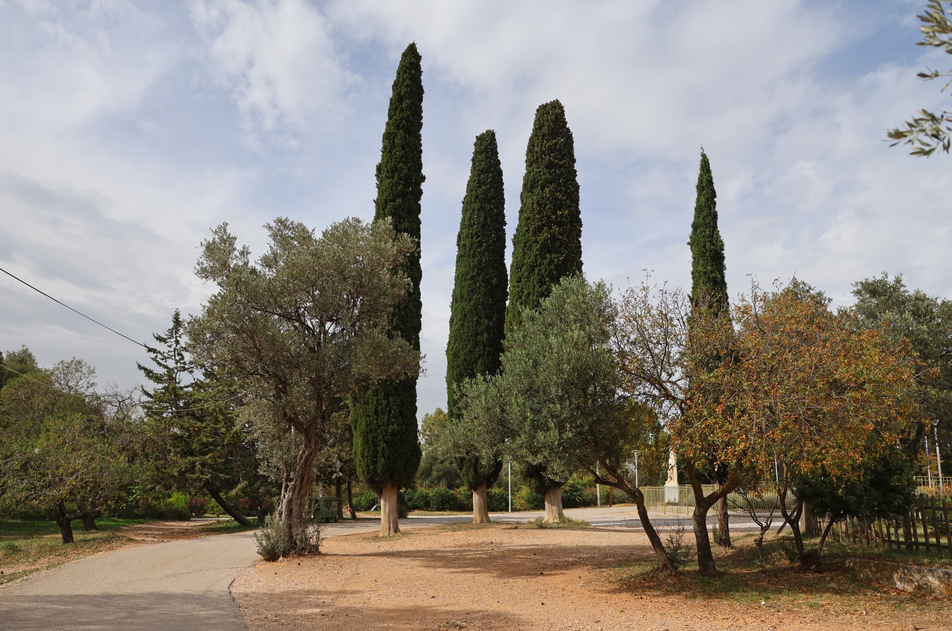 Οι κρυμμένοι «θησαυροί» του Δάσους Συγγρού-2