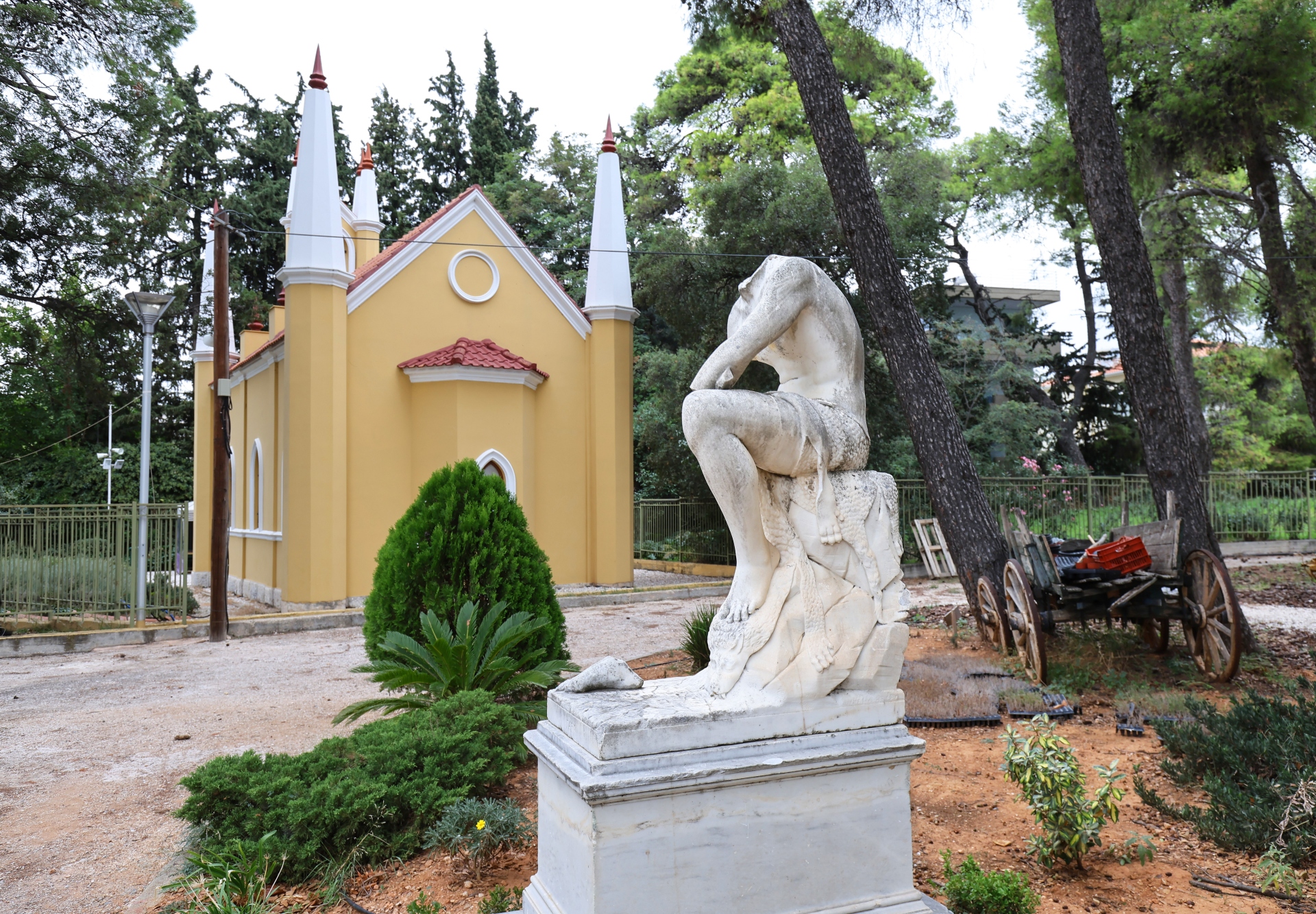 Οι κρυμμένοι «θησαυροί» του Δάσους Συγγρού-6