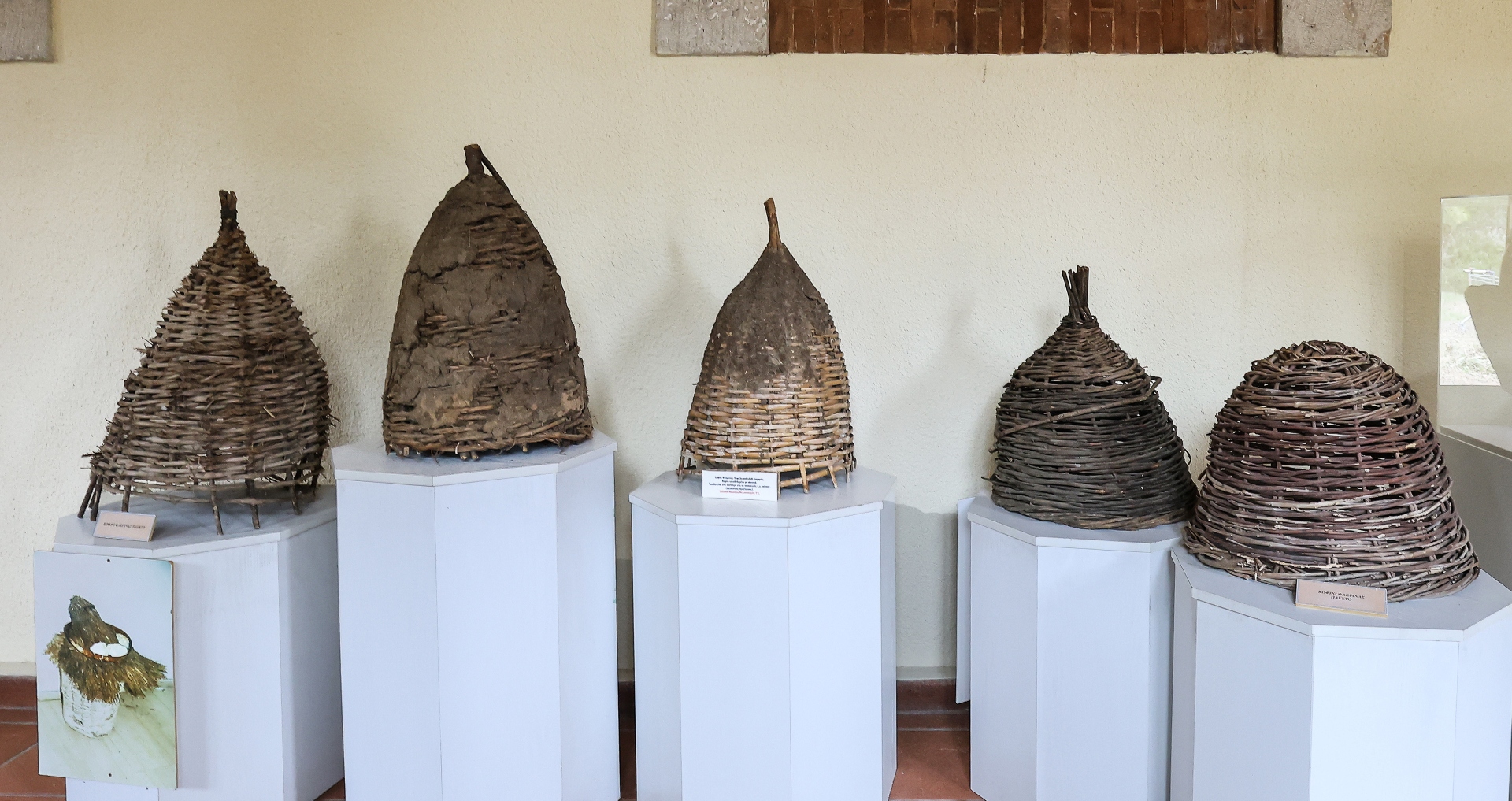 Οι κρυμμένοι «θησαυροί» του Δάσους Συγγρού-10