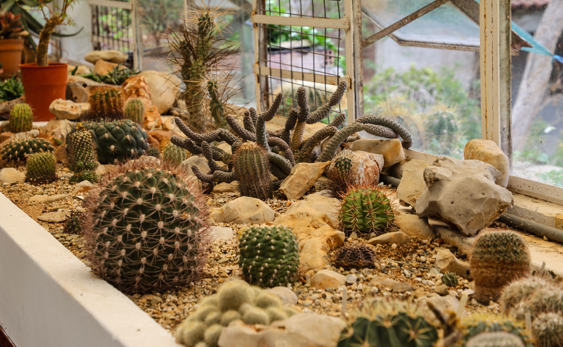 Οι κρυμμένοι «θησαυροί» του Δάσους Συγγρού-9