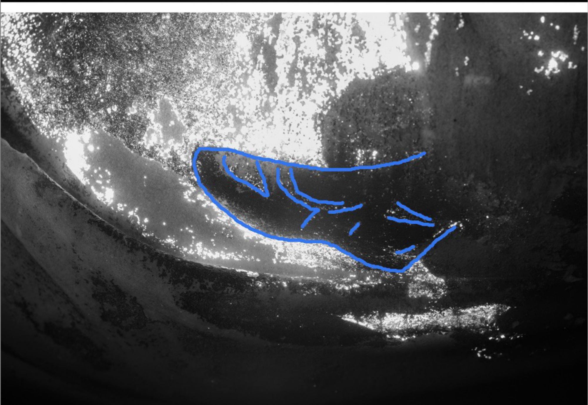 Τι χρώμα είχαν τα Γλυπτά του Παρθενώνα-1