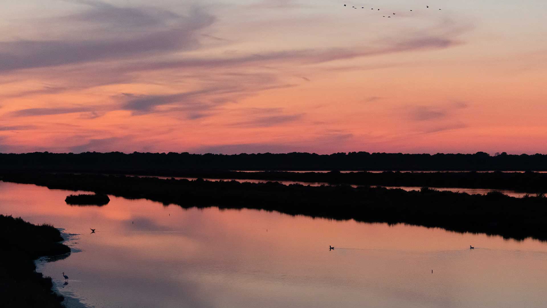 Αώος-Vjosa: Ταξιδεύοντας στο πρώτο Εθνικό Πάρκο Άγριου Ποταμού στην Ευρώπη-8