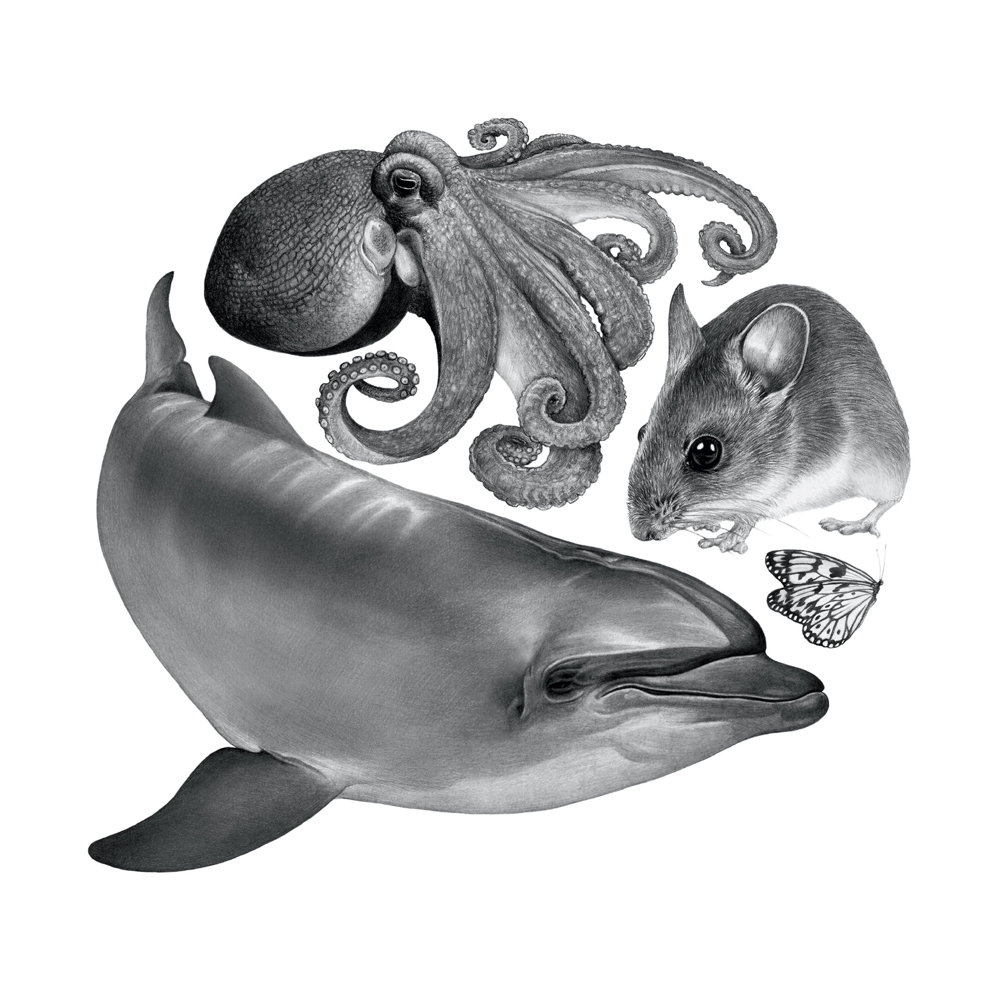 Μιλούν τα ζώα μεταξύ τους;-1