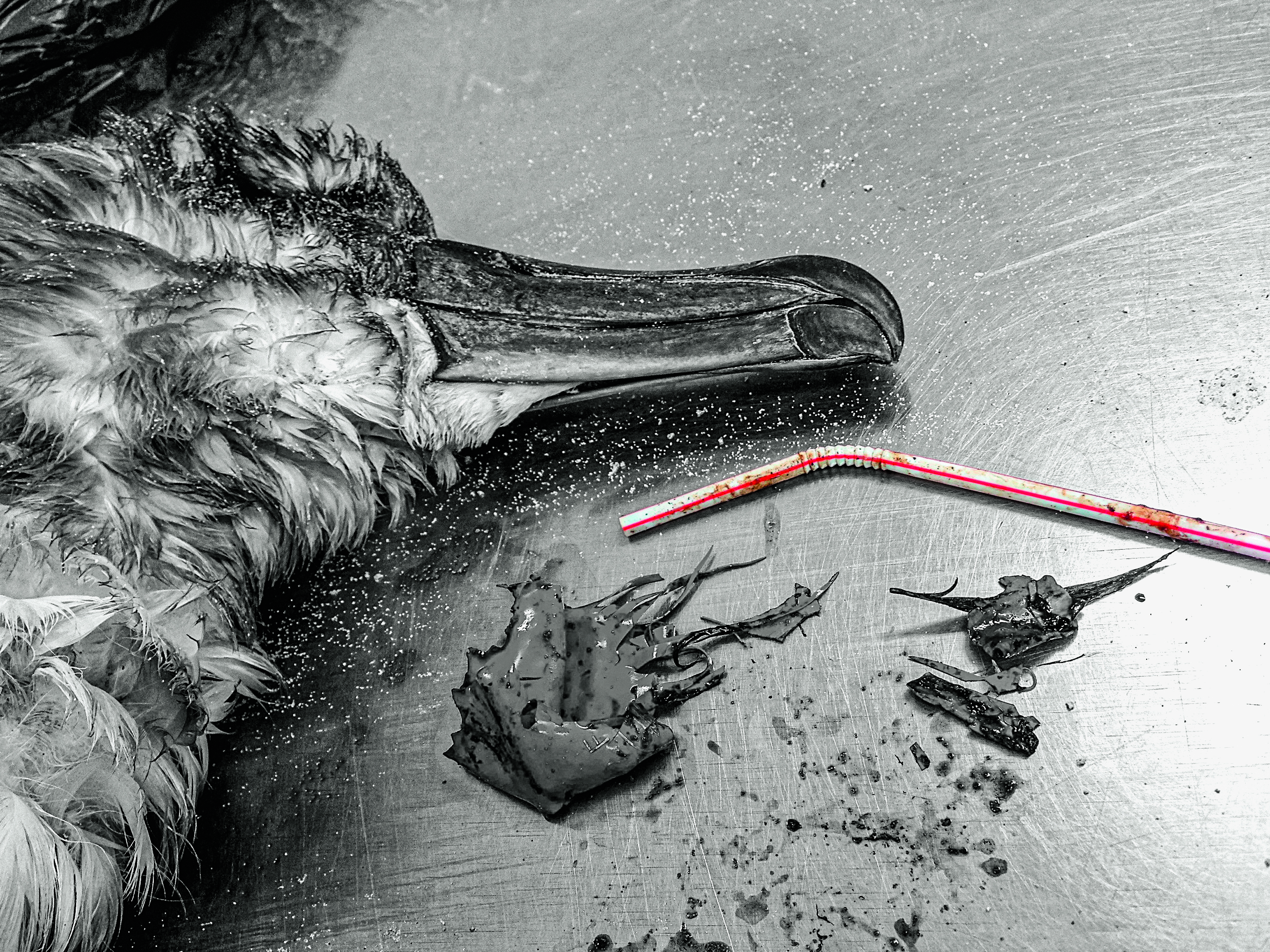 Μήπως θέλετε καλαμάκι από τα κανονικά, τα πλαστικά;-3