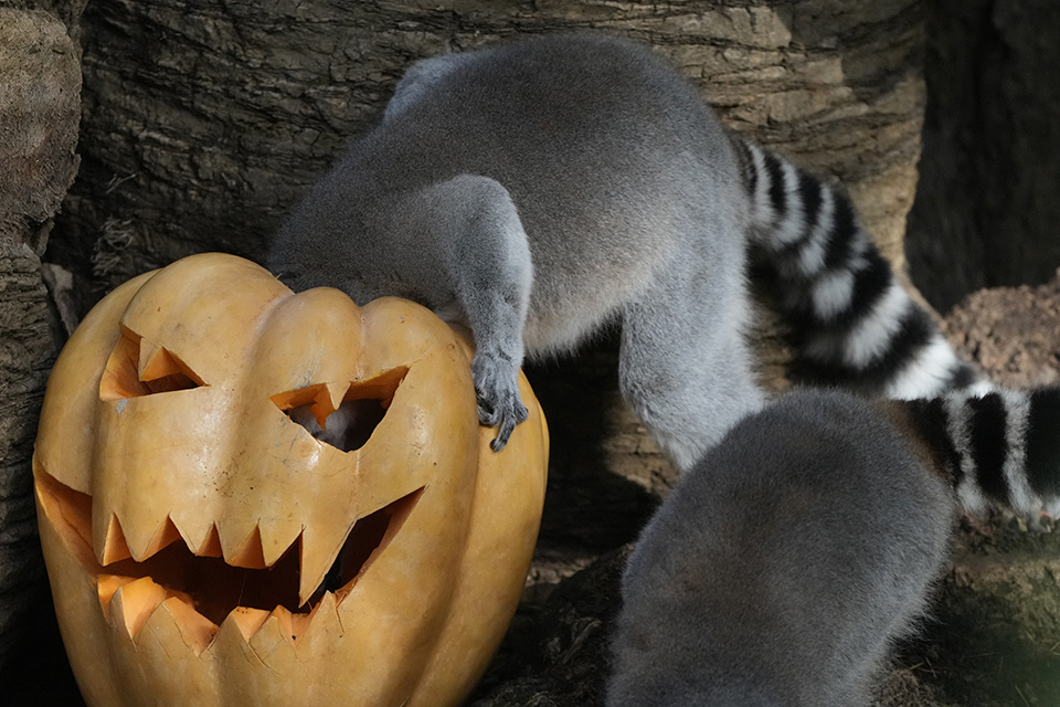 Ο,τι πιο επίκαιρο-3