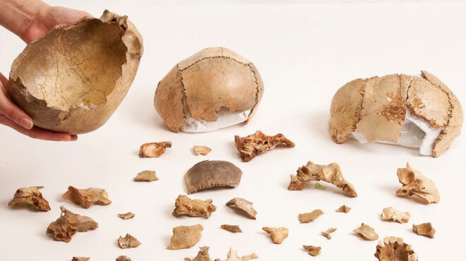 ο-κανιβαλισμός-ήταν-κοινή-ταφική-τακ-562656406