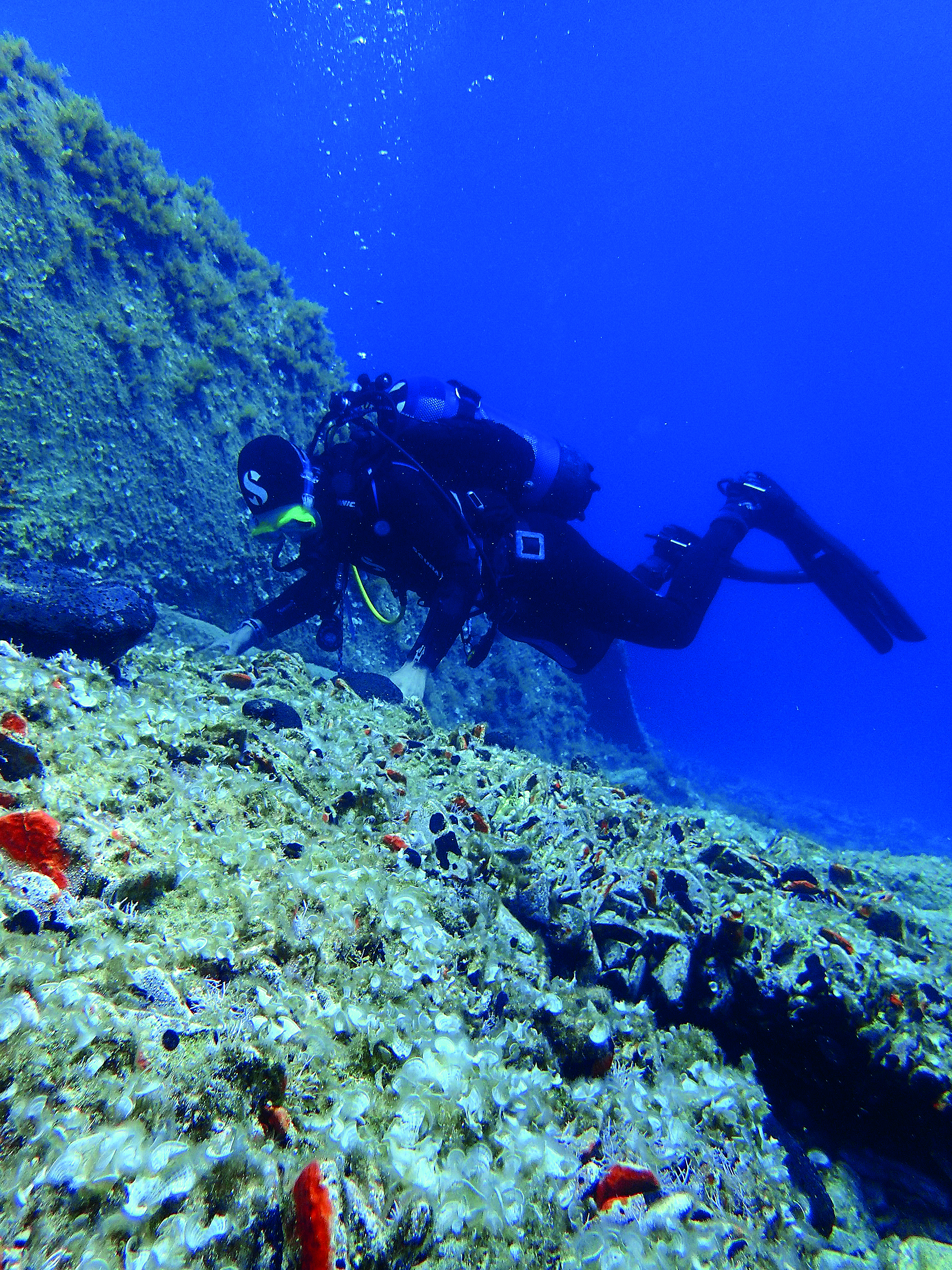 Βερονίκ Σανκόφσκι: «Ίσως να είμαι ένα νέο είδος φιλελληνίδας»-3