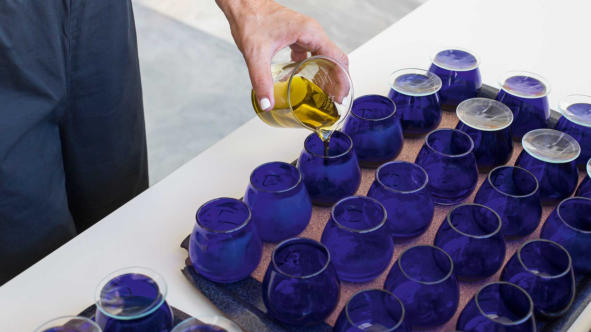 Ελιά: Γνωρίζοντας τον «χρυσό» της μεσσηνιακής γης-4