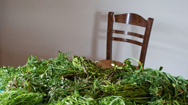 eστιάτορες-βάλτε-τα-εκλεκτά-ελληνικά-π-562669945