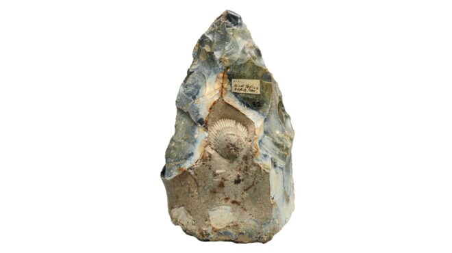 εν-αρχή-ην-η-γλυπτική-562648456