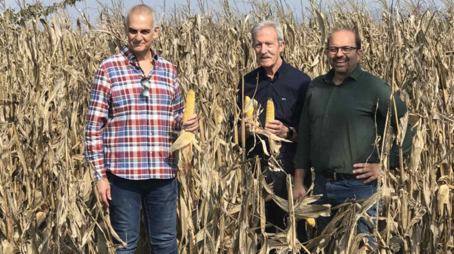 επείγουσα-ανάγκη-να-μην-περάσουν-οι-μ-562663981