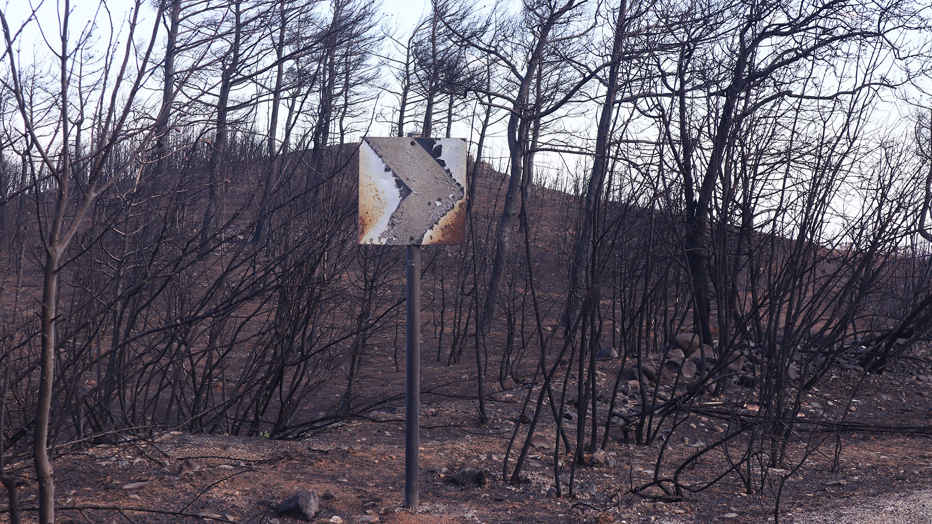 Μετά τη φωτιά-2