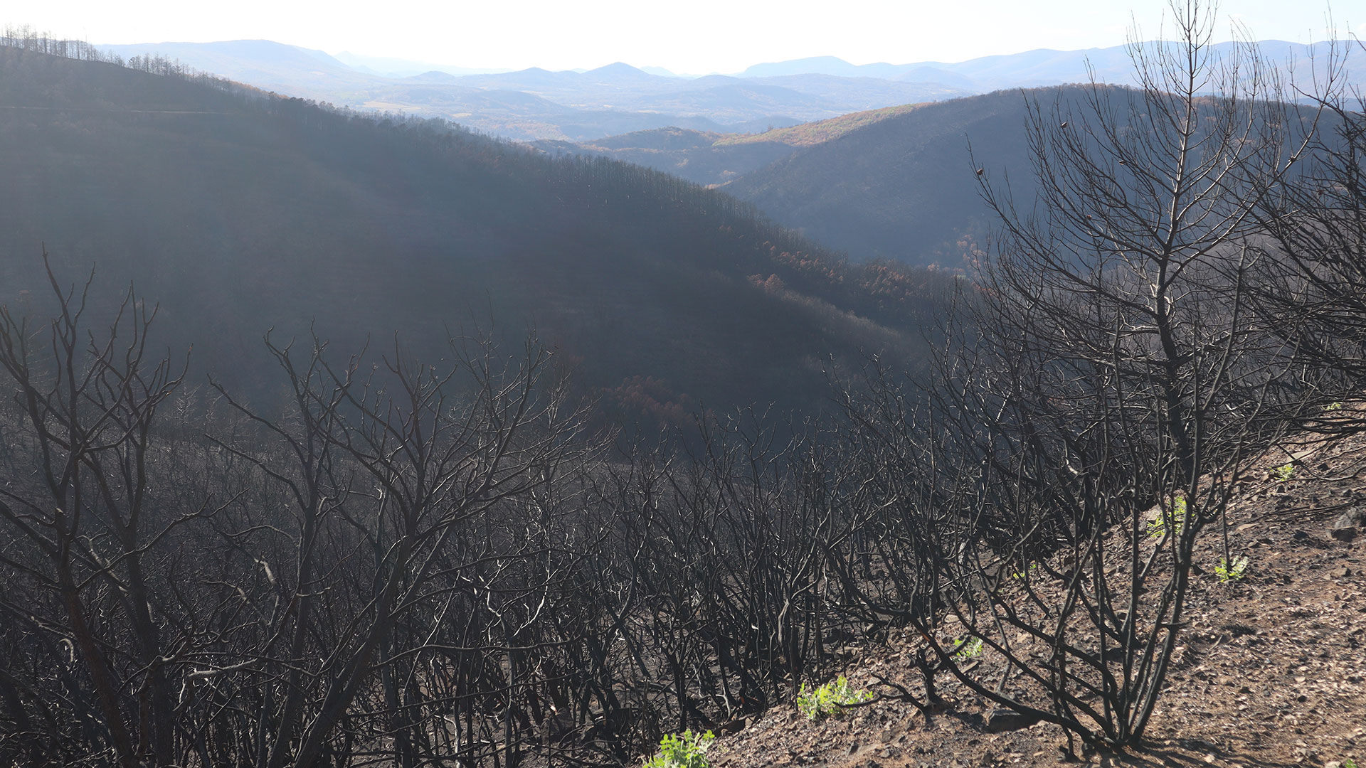 Μετά τη φωτιά-3