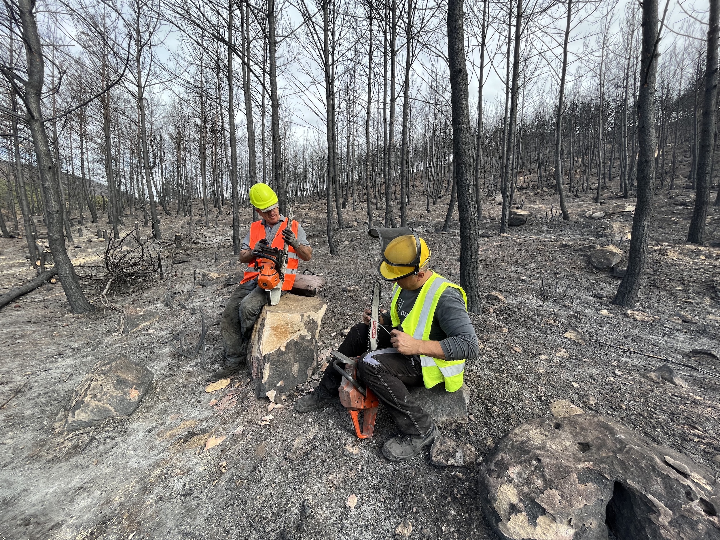 Εβρος: Οι πρώτες οχυρώσεις μετά τη φωτιά-1