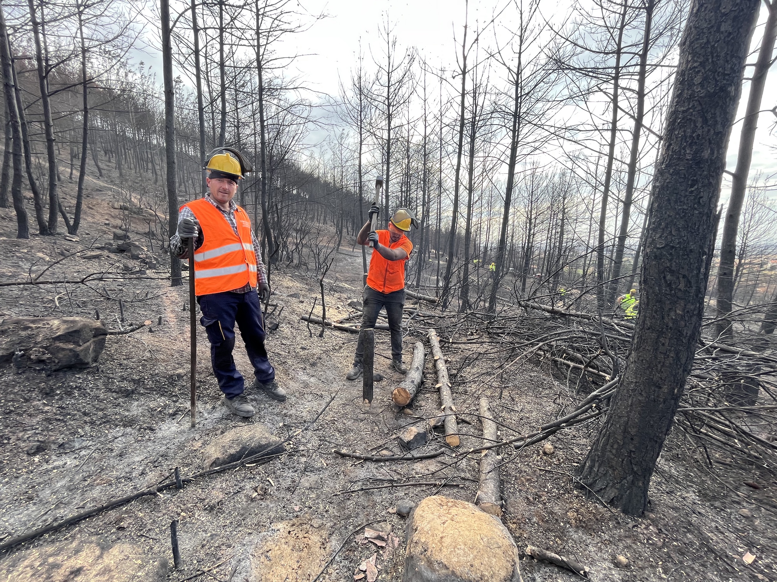 Εβρος: Οι πρώτες οχυρώσεις μετά τη φωτιά-2
