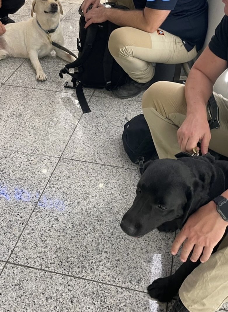 Από το Παγκράτι στην πρώτη γραμμή του πολέμου-2