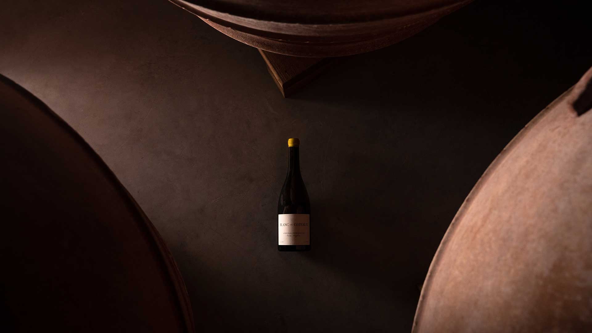 «Εχουμε πολλά να ανακαλύψουμε για το Ξινόμαυρο»-3