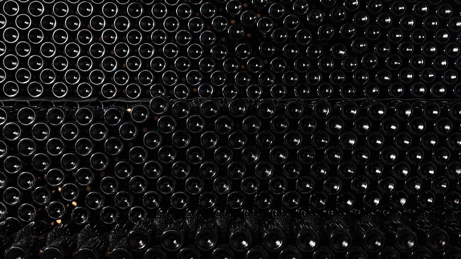 «Εχουμε πολλά να ανακαλύψουμε για το Ξινόμαυρο»-2