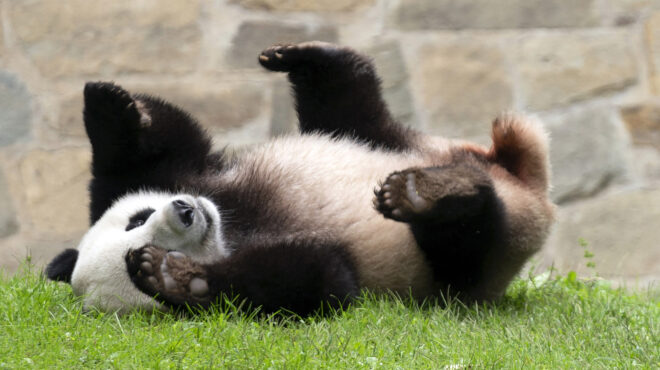 τέλος-εποχής-για-τη-διπλωματία-των-πά-562650028