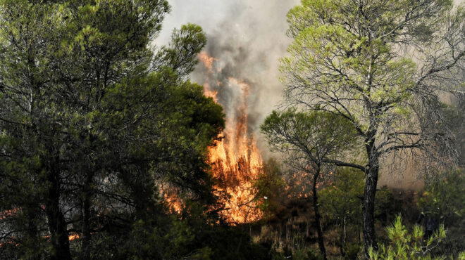 κέρκυρα-φωτιά-τώρα-στην-περιοχή-αγιος-562686460