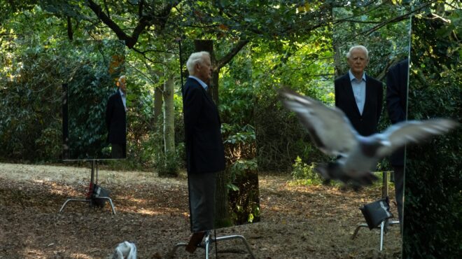 ο-στέφιν-μέριτ-των-magnetic-fields-προτιμά-να-χορεύ-562701676