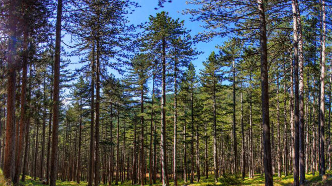 χρηματιστήριο-για-τον-καθαρισμό-τω-562689511