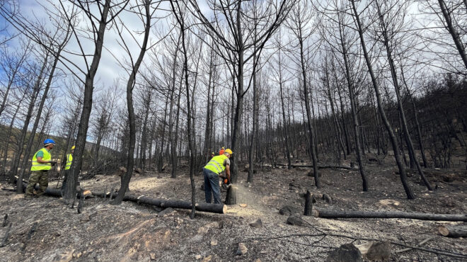 εβρος-οι-πρώτες-οχυρώσεις-μετά-τη-φωτι-562669372