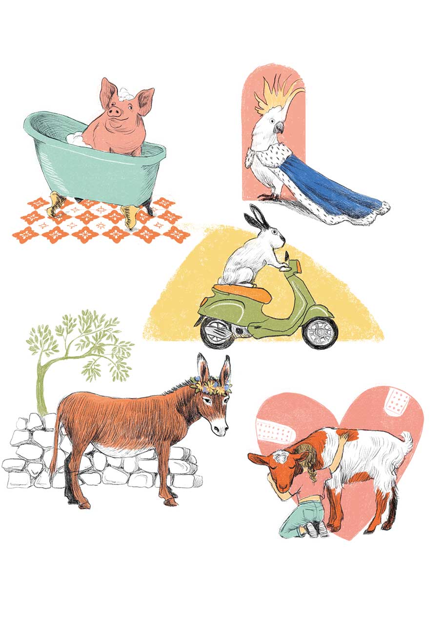 Γαϊδούρι, κατσίκι ή γουρουνάκι για κατοικίδιο;-1