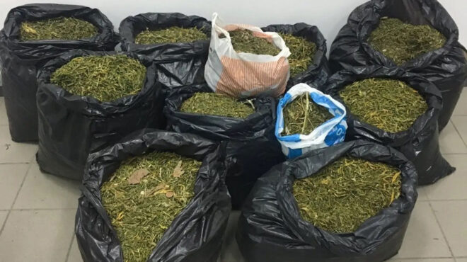 αρκαδία-κατασχέθηκαν-160-κιλά-κάνναβης-821-562687990
