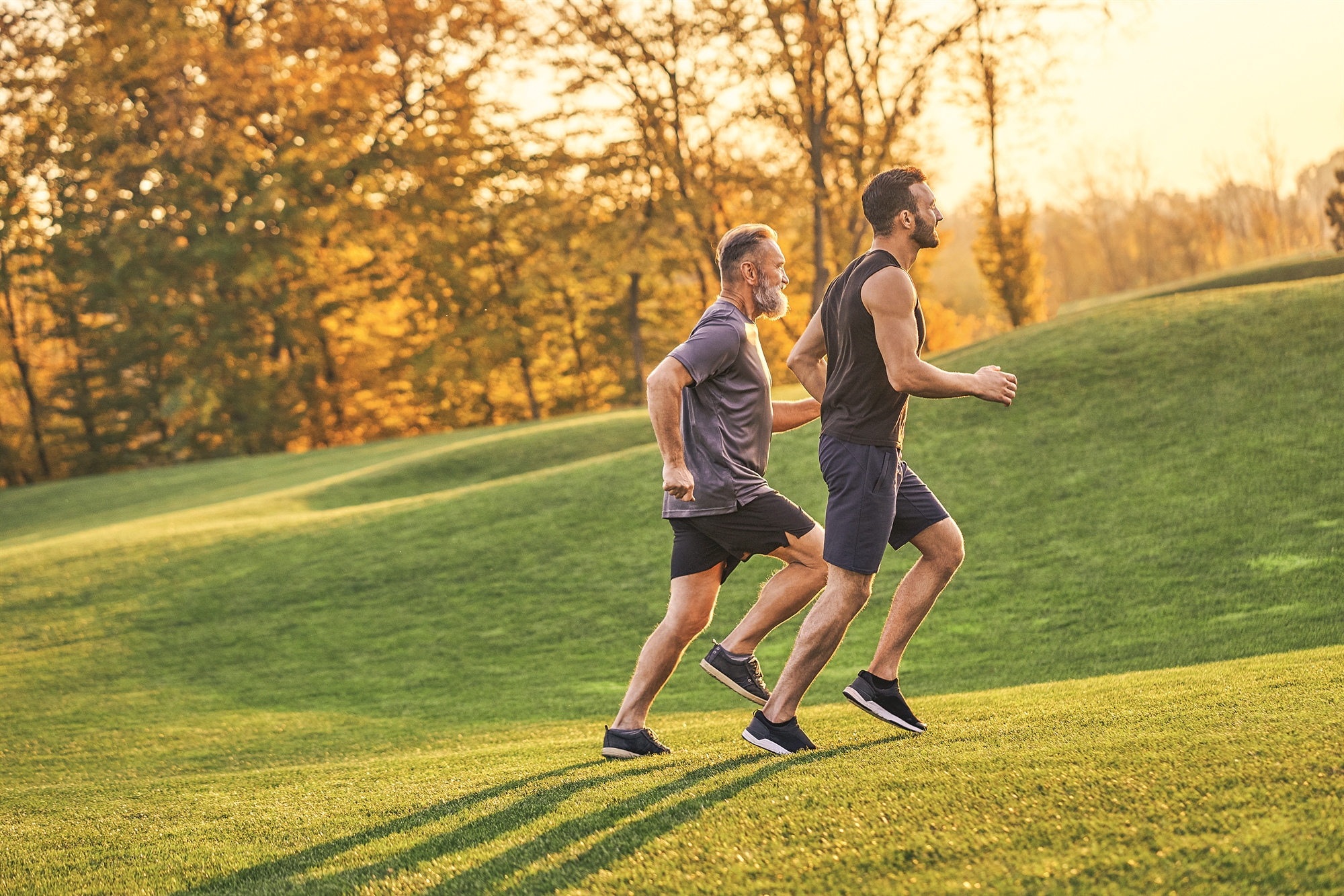 ανανεώστε-το-μοτίβο-των-εξορμήσεών-σα-562688500