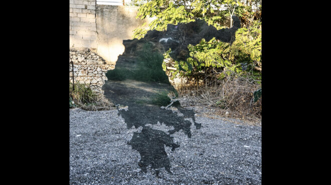 σύγχρονη-τέχνη-στον-ελαιώνα-μάλερ-και-562678843