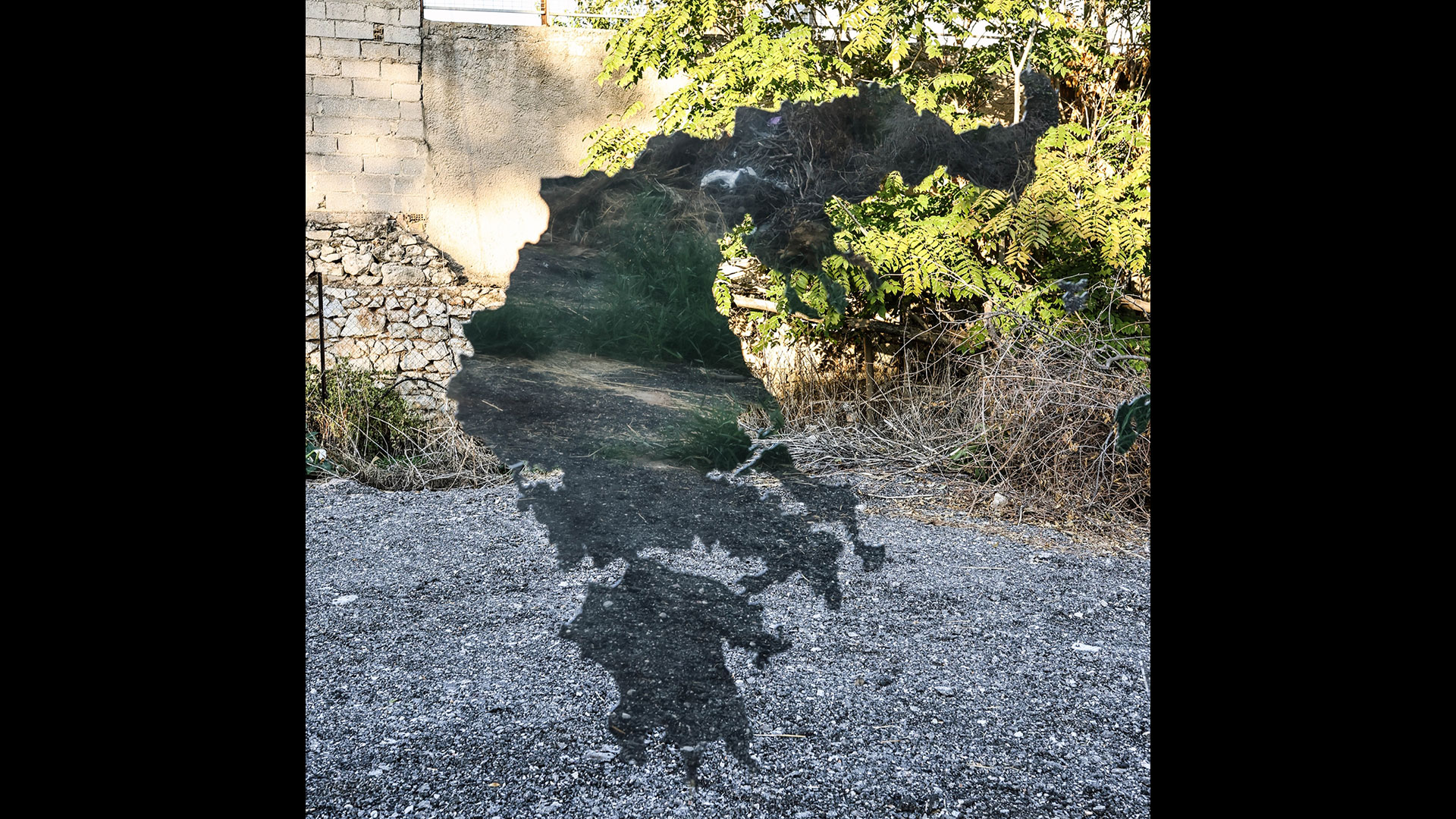 σύγχρονη-τέχνη-στον-ελαιώνα-μάλερ-και-562678843