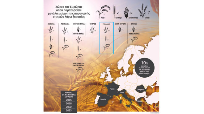 ολοένα-και-πιο-γόνιμο-το-έδαφος-για-πυρ-562672498