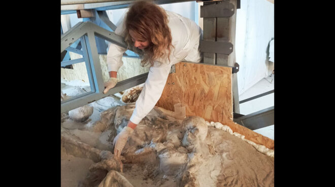 στην-εντατική-οι-δεσμώτες-του-φαλήρ-562676677